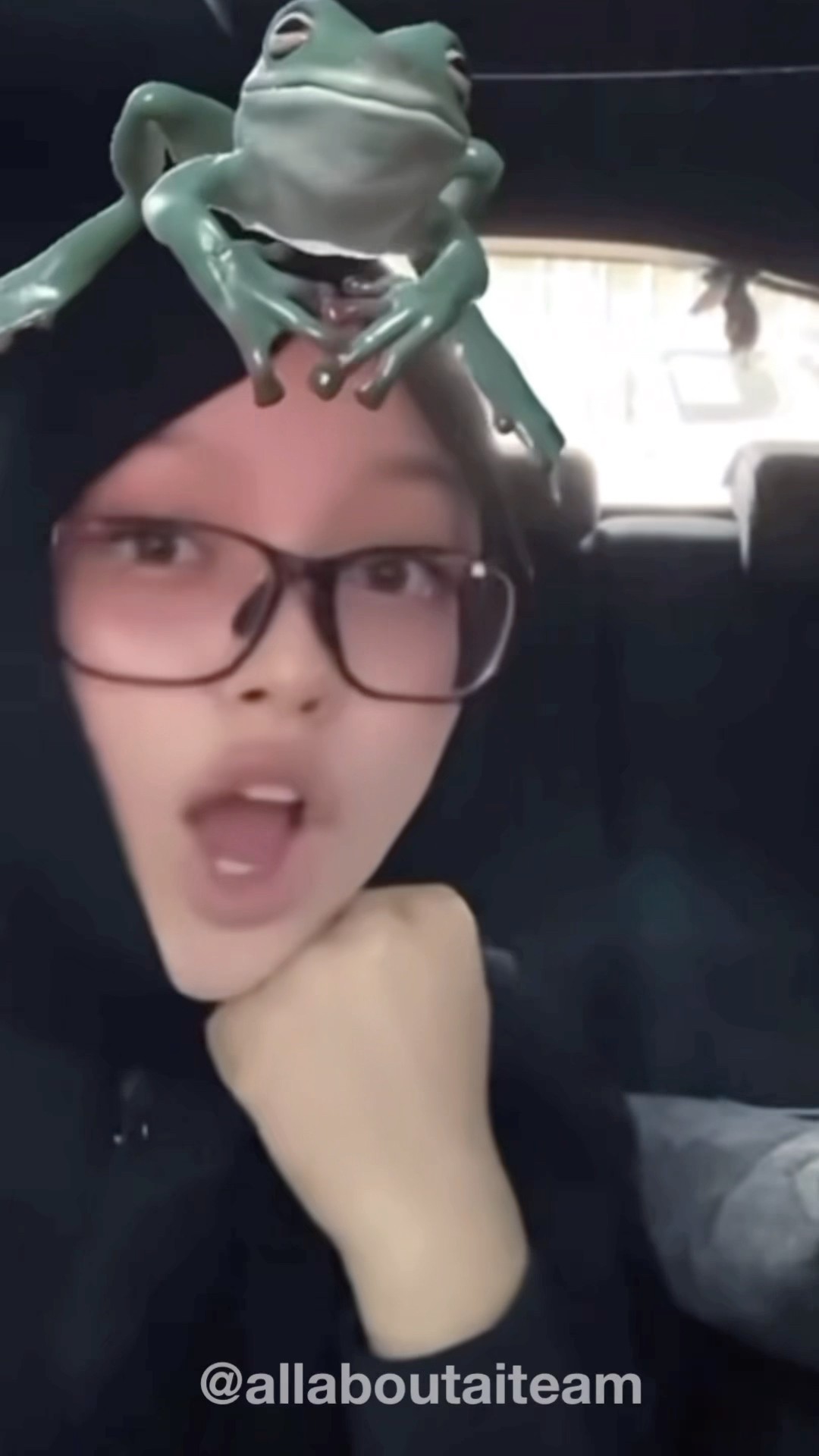 Comel Rina Dan Kataknya. Harini Rina Jadi Passenger Princess ?? #airina #aiteam